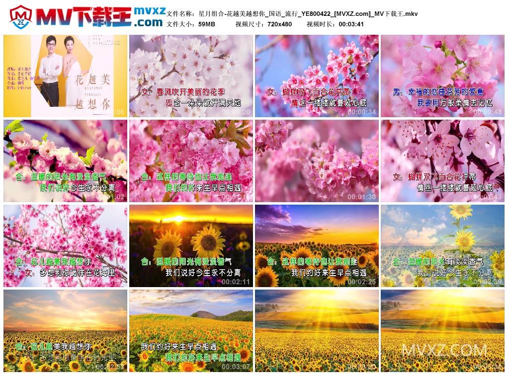 星月组合-花越美越想你_国语_流行_YE800422